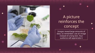 Images reveal large amounts of
data, so remember: use an image
instead of a long text. Your
audience will appreciate it
A picture
reinforces the
concept
 