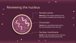 Reviewing the nucleus
Nuclear pores
Mercury is the closest planet to the
Sun and the smallest one of them all
Nuclear membrane
Earth is the third planet from the Sun
and the only one that harbors life
Chromatin
Venus has a beautiful name and is
the second planet from the Sun
 