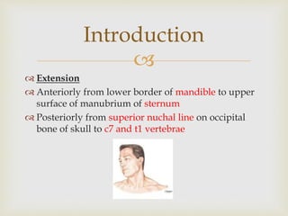 
 Extension
 Anteriorly from lower border of mandible to upper
surface of manubrium of sternum
 Posteriorly from superior nuchal line on occipital
bone of skull to c7 and t1 vertebrae
Introduction
 