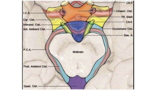 ANATOMY OF SUBARACHNOID CISTERNS OF BRAIN