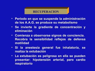 RECUPERACION
• Periodo en que se suspende la administración
de los A.A.G. se produce su metabolismo
• Se invierte la gradiente de concentración y
eliminación
• Comienza a observarse signos de conciencia.
Recobra la sensibilidad reflejos de defensa
motilidad
• Si la anestesia general fue inhalatoria, se
realiza la extubación
• La extubación es peligrosa en ella se pueden
presentar: hipotensión arterial, paro cardio
respiratorio
 