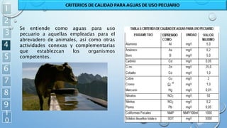 1
2
3
4
5
6
7
8
9
1
0
CRITERIOS DE CALIDAD PARA AGUAS DE USO PECUARIO
Se entiende como aguas para uso
pecuario a aquellas empleadas para el
abrevadero de animales, así como otras
actividades conexas y complementarias
que establezcan los organismos
competentes.
 