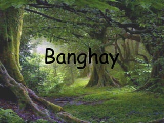 Banghay
 
