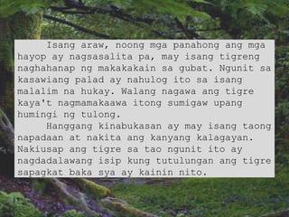 Isang araw, noong mga panahong ang mga
hayop ay nagsasalita pa, may isang tigreng
naghahanap ng makakakain sa gubat. Ngunit sa
kasawiang palad ay nahulog ito sa isang
malalim na hukay. Walang nagawa ang tigre
kaya't nagmamakaawa itong sumigaw upang
humingi ng tulong.
Hanggang kinabukasan ay may isang taong
napadaan at nakita ang kanyang kalagayan.
Nakiusap ang tigre sa tao ngunit ito ay
nagdadalawang isip kung tutulungan ang tigre
sapagkat baka sya ay kainin nito.
 