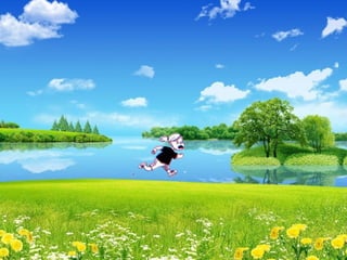 Animacion hb