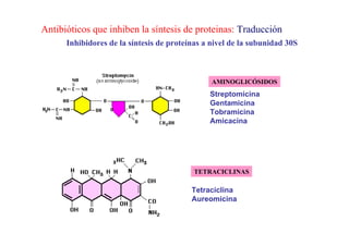 Antibioticos3