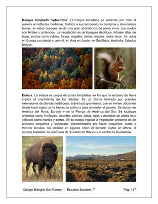 Colegio Bilingüe San Ramón - Estudios Sociales 7° Pág. 187
Bosque templado caducifolio: El bosque templado se extiende por todo el
planeta en latitudes medianas. Debido a sus temperaturas benignas y abundantes
lluvias, en estos bosques se da una gran abundancia de seres vivos. Los suelos
son fértiles y profundos. La vegetación es de bosques deciduos, árboles altos de
hojas anchas como robles, hayas, nogales, olmos, maples, entre otros. Se ubica
en Europa occidental y central, en Asia en Japón, en Sudáfrica, Australia, Estados
Unidos.
Estepa: La estepa es propia de zonas templadas en las que la escasez de lluvia
impide el crecimiento de los árboles. Es un bioma formado por grandes
extensiones de plantas herbáceas, sobre todo gramíneas, que se vienen utilizando
desde hace siglos como tierras de cultivo y para alimentar al ganado. Se ubican en
América del Norte, Eurasia y en la Pampa de América del Sur. Se localizan
animales como Antílopes, bisontes, ciervos, lobos, osos y animales de pieles muy
valiosos como martas y zorros. En la estepa tropical la vegetación presente es de
arbustos pequeños y espinosos, caracterizados por hojas pequeñas, duras y
troncos leñosos. Se localiza en lugares como el llamado Sahel en África, el
noreste brasileño, la península de Yucatán en México y el centro de Guatemala.
 