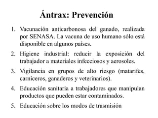 1. Vacunación anticarbonosa del ganado, realizada
por SENASA. La vacuna de uso humano sólo está
disponible en algunos países.
2. Higiene industrial: reducir la exposición del
trabajador a materiales infecciosos y aerosoles.
3. Vigilancia en grupos de alto riesgo (matarifes,
carniceros, ganaderos y veterinarios).
4. Educación sanitaria a trabajadores que manipulan
productos que pueden estar contaminados.
5. Educación sobre los modos de trasmisión
Ántrax: Prevención
 