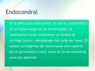 Endocondral
• En la osificación endocondral, la cual es característica
de los huesos largos de las extremidades, el
mesénquima forma inicialmente un modelo de
cartílago hialino, reemplazado más tarde por hueso. El
modelo cartilaginoso del futuro hueso está cubierto
por el pericondrio y crece, tanto de forma intersticial,
como por aposición.
 