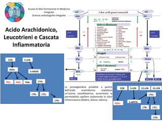 Acido Arachidonico,
Leucotrieni e Cascata
Infiammatoria
Le prostaglandine prodotte a partire
dall'acido arachidonico espletano
un'azione vasodilatatrice, aumentano la
permeabilità capillare sostenendo lo stato
infiammatorio (febbre, dolore, edema).
Scuola di Alta Formazione In Medicina
Integrata
Scienze andrologiche integrate
PGI3 PGE3 TXA3
COX 5-LOX
PGH3
5-HPEPE
LTA3
LTB3 LTC3
LTD1
COX 5-LOX 12-LOX 15-LOX
PGH2
5-HPETE
LTA3
LTB1 LTC2
LTD4
 