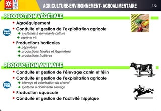  Agroéquipement
 Conduite et gestion de l’exploitation agricole
 systèmes à dominante culture
 vigne et vin
 Productions horticoles
 pépinières
 productions florales et légumières
 productions fruitières
 Conduite et gestion de l’élevage canin et félin
 Conduite et gestion de l’exploitation agricole
 élevage et valorisation du cheval
 système à dominante élevage
 Production aquacole
 Conduite et gestion de l’activité hippique
1/2
 