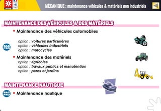  Maintenance des véhicules automobiles
option : voitures particulières
option : véhicules industriels
option : motocycles
 Maintenance des matériels
option : agricoles
option : travaux publics et manutention
option : parcs et jardins
 Maintenance nautique
 