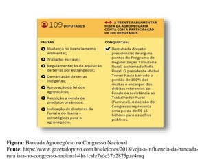 Figura: Bancada Agronegócio no Congresso Nacional
Fonte: https://www.gazetadopovo.com.br/eleicoes/2018/veja-a-influencia-da-bancada-
ruralista-no-congresso-nacional-4hs1cslz7sdc37o2875pzc4mq
 