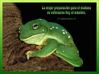 La mejor preparación para el mañana  es esforzarse hoy al máximo. —H. Jackson Brown, Jr. 