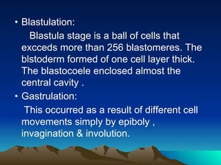 • Blastulation:
Blastula stage is a ball of cells that
excceds more than 256 blastomeres. The
blstoderm formed of one cell layer thick.
The blastocoele enclosed almost the
central cavity .
• Gastrulation:
This occurred as a result of different cell
movements simply by epiboly ,
invagination & involution.
 
