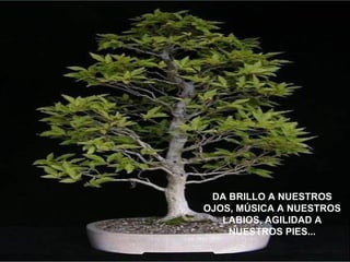 DA BRILLO A NUESTROS OJOS, MÚSICA A NUESTROS LABIOS, AGILIDAD A NUESTROS PIES... 