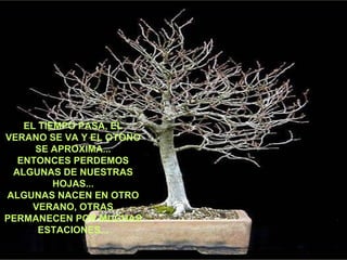 EL TIEMPO PASA, EL VERANO SE VA Y EL OTOÑO SE APROXIMA... ENTONCES PERDEMOS ALGUNAS DE NUESTRAS HOJAS... ALGUNAS NACEN EN OTRO VERANO, OTRAS PERMANECEN POR MUCHAS ESTACIONES... 