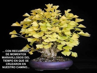 ... CON RECUERDOS DE MOMENTOS MARAVILLOSOS DEL TIEMPO EN QUE SE CRUZARON EN NUESTRO CAMINO... 