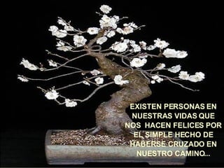 EXISTEN PERSONAS EN NUESTRAS VIDAS QUE NOS  HACEN FELICES POR EL SIMPLE HECHO DE HABERSE CRUZADO EN NUESTRO CAMINO... 