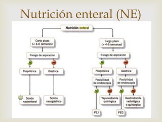 
Nutrición enteral (NE)
 