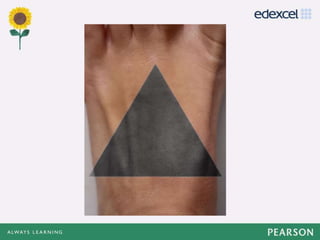 As component 2 py_62_sample 24