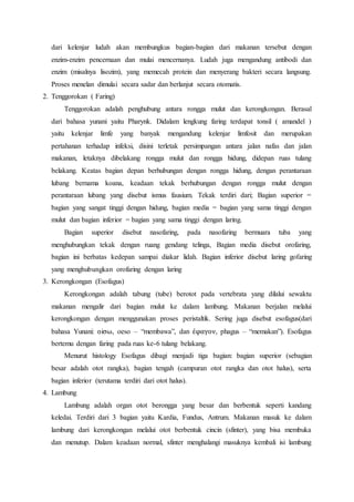 dari kelenjar ludah akan membungkus bagian-bagian dari makanan tersebut dengan
enzim-enzim pencernaan dan mulai mencernanya. Ludah juga mengandung antibodi dan
enzim (misalnya lisozim), yang memecah protein dan menyerang bakteri secara langsung.
Proses menelan dimulai secara sadar dan berlanjut secara otomatis.
2. Tenggorokan ( Faring)
Tenggorokan adalah penghubung antara rongga mulut dan kerongkongan. Berasal
dari bahasa yunani yaitu Pharynk. Didalam lengkung faring terdapat tonsil ( amandel )
yaitu kelenjar limfe yang banyak mengandung kelenjar limfosit dan merupakan
pertahanan terhadap infeksi, disini terletak persimpangan antara jalan nafas dan jalan
makanan, letaknya dibelakang rongga mulut dan rongga hidung, didepan ruas tulang
belakang. Keatas bagian depan berhubungan dengan rongga hidung, dengan perantaraan
lubang bernama koana, keadaan tekak berhubungan dengan rongga mulut dengan
perantaraan lubang yang disebut ismus fausium. Tekak terdiri dari; Bagian superior =
bagian yang sangat tinggi dengan hidung, bagian media = bagian yang sama tinggi dengan
mulut dan bagian inferior = bagian yang sama tinggi dengan laring.
Bagian superior disebut nasofaring, pada nasofaring bermuara tuba yang
menghubungkan tekak dengan ruang gendang telinga, Bagian media disebut orofaring,
bagian ini berbatas kedepan sampai diakar lidah. Bagian inferior disebut laring gofaring
yang menghubungkan orofaring dengan laring
3. Kerongkongan (Esofagus)
Kerongkongan adalah tabung (tube) berotot pada vertebrata yang dilalui sewaktu
makanan mengalir dari bagian mulut ke dalam lambung. Makanan berjalan melalui
kerongkongan dengan menggunakan proses peristaltik. Sering juga disebut esofagus(dari
bahasa Yunani: οiσω, oeso – “membawa”, dan έφαγον, phagus – “memakan”). Esofagus
bertemu dengan faring pada ruas ke-6 tulang belakang.
Menurut histology Esofagus dibagi menjadi tiga bagian: bagian superior (sebagian
besar adalah otot rangka), bagian tengah (campuran otot rangka dan otot halus), serta
bagian inferior (terutama terdiri dari otot halus).
4. Lambung
Lambung adalah organ otot berongga yang besar dan berbentuk seperti kandang
keledai. Terdiri dari 3 bagian yaitu Kardia, Fundus, Antrum. Makanan masuk ke dalam
lambung dari kerongkongan melalui otot berbentuk cincin (sfinter), yang bisa membuka
dan menutup. Dalam keadaan normal, sfinter menghalangi masuknya kembali isi lambung
 