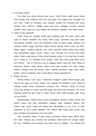 7. Usus Buntu (sekum)
Usus buntu atau sekum (Bahasa Latin: caecus, “buta”) dalam istilah anatomi adalah
suatu kantung yang terhubung pada usus penyerapan serta bagian kolon menanjak dari
usus besar. Organ ini ditemukan pada mamalia, burung, dan beberapa jenis reptil.
Sebagian besar herbivora memiliki sekum yang besar, sedangkan karnivora eksklusif
memiliki sekum yang kecil, yang sebagian atau seluruhnya digantikan oleh umbai cacing.
8. Umbai Cacing (Appendix)
Umbai cacing atau apendiks adalah organ tambahan pada usus buntu. Infeksi pada
organ ini disebut apendisitis atau radang umbai cacing. Apendisitis yang parah dapat
menyebabkan apendiks pecah dan membentuk nanah di dalam rongga abdomen atau
peritonitis (infeksi rongga abdomen). Dalam anatomi manusia, umbai cacing atau dalam
bahasa Inggris, vermiform appendix (atau hanya appendix) adalah hujung buntu tabung
yang menyambung dengan caecum. Umbai cacing terbentuk dari caecum pada tahap
embrio. Dalam orang dewasa, Umbai cacing berukuran sekitar 10 cm tetapi bisa bervariasi
dari 2 sampai 20 cm. Walaupun lokasi apendiks selalu tetap, lokasi ujung umbai cacing
bisa berbeda – bisa di retrocaecal atau di pinggang (pelvis) yang jelas tetap terletak di
peritoneum. Banyak orang percaya umbai cacing tidak berguna dan organ vestigial
(sisihan), sebagian yang lain percaya bahwa apendiks mempunyai fungsi dalam sistem
limfatik. Operasi membuang umbai cacing dikenal sebagai appendektomi.
9. Rektum dan anus
Rektum (Bahasa Latin: regere, “meluruskan, mengatur”) adalah sebuah ruangan yang
berawal dari ujung usus besar (setelah kolon sigmoid) dan berakhir di anus. Organ ini
berfungsi sebagai tempat penyimpanan sementara feses. Biasanya rektum ini kosong
karena tinja disimpan di tempat yang lebih tinggi, yaitu pada kolon desendens. Jika kolon
desendens penuh dan tinja masuk ke dalam rektum, maka timbul keinginan untuk buang
air besar (BAB).
Mengembangnya dinding rektum karena penumpukan material di dalam rektum akan
memicu sistem saraf yang menimbulkan keinginan untuk melakukan defekasi. Jika
defekasi tidak terjadi, sering kali material akan dikembalikan ke usus besar, di mana
penyerapan air akan kembali dilakukan. Jika defekasi tidak terjadi untuk periode yang
lama, konstipasi dan pengerasan feses akan terjadi.
Anus merupakan lubang di ujung saluran pencernaan, dimana bahan limbah keluar
dari tubuh. Sebagian anus terbentuk dari permukaan tubuh (kulit) dan sebagian lainnya
dari usus. Pembukaan dan penutupan anus diatur oleh otot sphinkter. Feses dibuang dari
 