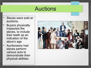 Auctions
• Slaves were sold at
auctions.
• Buyers physically
inspected the
slaves, to include
their teeth as an
indication of the
slave’s age
• Auctioneers had
slaves perform
various acts to
demonstrate their
physical abilities.

 