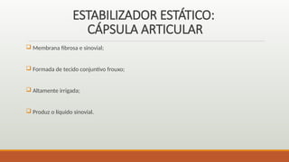 ESTABILIZADOR ESTÁTICO:
CÁPSULA ARTICULAR
 Membrana fibrosa e sinovial;
 Formada de tecido conjuntivo frouxo;
 Altamente irrigada;
 Produz o líquido sinovial.
 