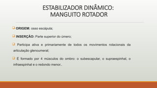 ESTABILIZADOR DINÂMICO:
MANGUITO ROTADOR
 ORIGEM: osso escápula;
 INSERÇÃO: Parte superior do úmero;
 Participa ativa e primariamente de todos os movimentos rotacionais da
articulação glenoumeral;
 É formado por 4 músculos do ombro: o subescapular, o supraespinhal, o
infraespinhal e o redondo menor..
 