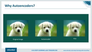 AI & DEEP LEARNING with TENSORFLOW www.edureka.co/ai-deep-learning-with-tensorflow
Why Autoencoders?
Original Image Autoencoder PCA
 
