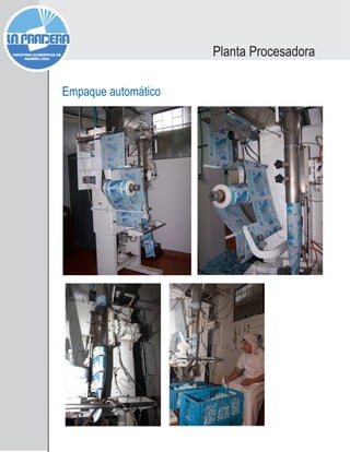 Empaque automático
Planta Procesadora
 