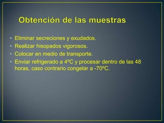 • Eliminar secreciones y exudados.
• Realizar hisopados vigorosos.
• Colocar en medio de transporte.
• Enviar refrigerado a 4ºC y procesar dentro de las 48
horas, caso contrario congelar a -70ºC.
 