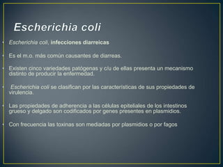 • Escherichia coli, infecciones diarreicas
• Es el m.o. más común causantes de diarreas.
• Existen cinco variedades patógenas y c/u de ellas presenta un mecanismo
distinto de producir la enfermedad.
• Escherichia coli se clasifican por las características de sus propiedades de
virulencia.
• Las propiedades de adherencia a las células epiteliales de los intestinos
grueso y delgado son codificados por genes presentes en plasmidios.
• Con frecuencia las toxinas son mediadas por plasmidios o por fagos
 