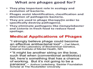 Bacteriophages concept
