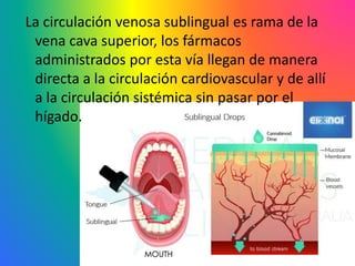 La circulación venosa sublingual es rama de la
vena cava superior, los fármacos
administrados por esta vía llegan de manera
directa a la circulación cardiovascular y de allí
a la circulación sistémica sin pasar por el
hígado.
 