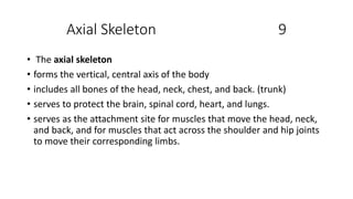 Axial Skeleton 9
• The axial skeleton
• forms the vertical, central axis of the body
• includes all bones of the head, neck, chest, and back. (trunk)
• serves to protect the brain, spinal cord, heart, and lungs.
• serves as the attachment site for muscles that move the head, neck,
and back, and for muscles that act across the shoulder and hip joints
to move their corresponding limbs.
 