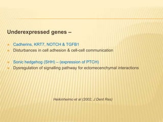 Underexpressed genes –
 Cadherins, KRT7, NOTCH & TGFB1
 Disturbances in cell adhesion & cell-cell communication
 Sonic hedgehog (SHH) – (expression of PTCH)
 Dysregulation of signalling pathway for ectomecenchymal interactions
Heikinheimo et al (2002, J Dent Res)
 