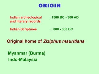ORIGIN
Original home of Ziziphus mauritiana
Myanmar (Burma)
Indo-Malaysia
Indian archeological : 1500 BC - 300 AD
and literary records
Indian Scriptures : 800 - 300 BC
 