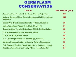GERMPLASM
CONSERVATION
Centre Accessions (No.)
Central Institute for Arid Horticulture, Bikaner, Rajasthan 311
National Bureau of Plant Genetic Resources (CAZRI), Jodhpur,
Rajasthan
146
Central Arid Zone Research Institute, Jodhpur, Rajasthan 25
Indian Agricultural Research Institute, New Delhi 51
Central Institute for Arid Horticulture (CHES), Godhra, Gujarat 52
CCS, Haryana Agricultural University, Hissar 79
CCS, HAU, (RRS), Bawal Hissar 58
N. D. Univ of Agriculture and Technology, Faizabad 30
Mahatma Phule Agriculture University, Rahuri, Maharashtra 93
Fruit Research Station, Punjab Agricultural University, Punjab 41
Rajasthan Agricultural University, RRS, Jobner, Rajasthan 54
 