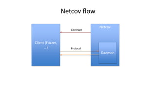 Netcov flow
Netcov
Daemon
Client (Fuzzer,
…)
Coverage
Protocol
 