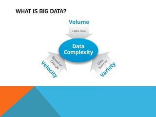 WHAT IS BIG DATA? 
 