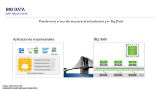 BIG DATA
SAP HANA VORA
Sergio Fabian Cannelli
CONSULTOR SENIOR SAP(ABAP-HANA-FIORI )
Puente entre el mundo empresarial estructurado y el Big Data!
 