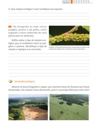 53UNIDADE 2
b) Que relação ecológica é essa? Justifique sua resposta.
2 Na fotografia ao lado vários
pulgões, presos a um galho, estão
sugando a seiva elaborada de uma
planta para se alimentar.
Reflita sobre o tipo de relação eco-
lógica que se estabelece entre os pul-
gões e a planta. Identifique o tipo de
relação e explique sua conclusão.
Sucessão ecológica
Observe as duas fotografias a seguir, que mostram áreas de florestas que foram
desmatadas. Em relação à área desmatada, qual é a principal diferença entre elas?
©RicardoAzoury/PulsarImagens
©FabioColombini
©radub85/123RF
Pulgões, conhecidos popularmente como piolhos-de-planta, são
insetos que chegam a ter no máximo 5 mm de comprimento.
 