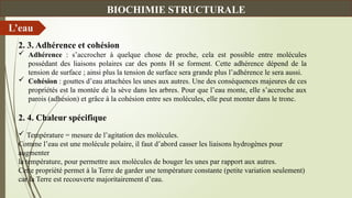 L’eau
BIOCHIMIE STRUCTURALE
2. 3. Adhérence et cohésion
 Adhérence : s’accrocher à quelque chose de proche, cela est possible entre molécules
possédant des liaisons polaires car des ponts H se forment. Cette adhérence dépend de la
tension de surface ; ainsi plus la tension de surface sera grande plus l’adhérence le sera aussi.
 Cohésion : gouttes d’eau attachées les unes aux autres. Une des conséquences majeures de ces
propriétés est la montée de la sève dans les arbres. Pour que l’eau monte, elle s’accroche aux
parois (adhésion) et grâce à la cohésion entre ses molécules, elle peut monter dans le tronc.
2. 4. Chaleur spécifique
 Température = mesure de l’agitation des molécules.
Comme l’eau est une molécule polaire, il faut d’abord casser les liaisons hydrogènes pour
augmenter
la température, pour permettre aux molécules de bouger les unes par rapport aux autres.
Cette propriété permet à la Terre de garder une température constante (petite variation seulement)
car la Terre est recouverte majoritairement d’eau.
 