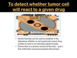 • Sensor biochips can be used to establish in the
laboratory whether or not a particular cancer drug
is likely to work in an individual patient's body.
• Shown here is a ceramic version of the chip -- just a
few millimeters across but packed with sensors.
 