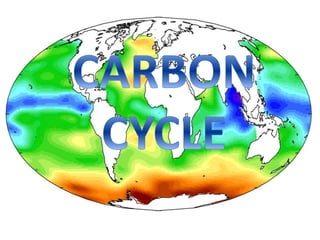 Biogeochemical cycle 