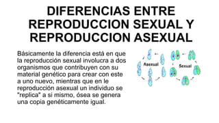 DIFERENCIAS ENTRE
REPRODUCCION SEXUAL Y
REPRODUCCION ASEXUAL
Básicamente la diferencia está en que
la reproducción sexual involucra a dos
organismos que contribuyen con su
material genético para crear con este
a uno nuevo, mientras que en le
reproducción asexual un individuo se
"replica" a si mismo, ósea se genera
una copia genéticamente igual.
 
