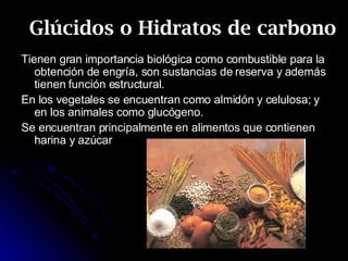 Glúcidos o Hidratos de carbono Tienen gran importancia biológica como combustible para la obtención de engría, son sustancias de reserva y además tienen función estructural. En los vegetales se encuentran como almidón y celulosa; y en los animales como glucógeno. Se encuentran principalmente en alimentos que contienen harina y azúcar 