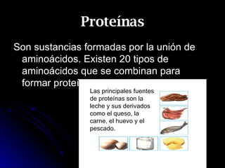 Proteínas Son sustancias formadas por la unión de aminoácidos. Existen 20 tipos de aminoácidos que se combinan para formar proteínas. Las principales fuentes de proteínas son la leche y sus derivados como el queso, la carne, el huevo y el pescado. 